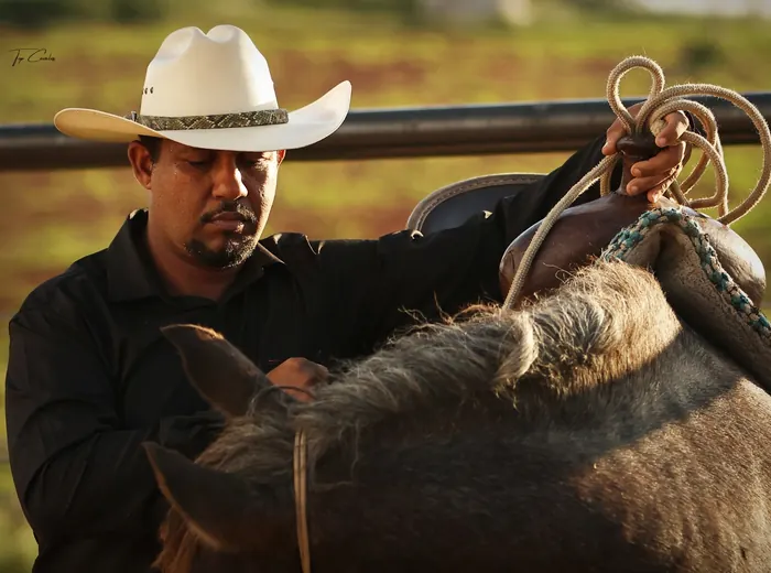 Gestão de centro equestre